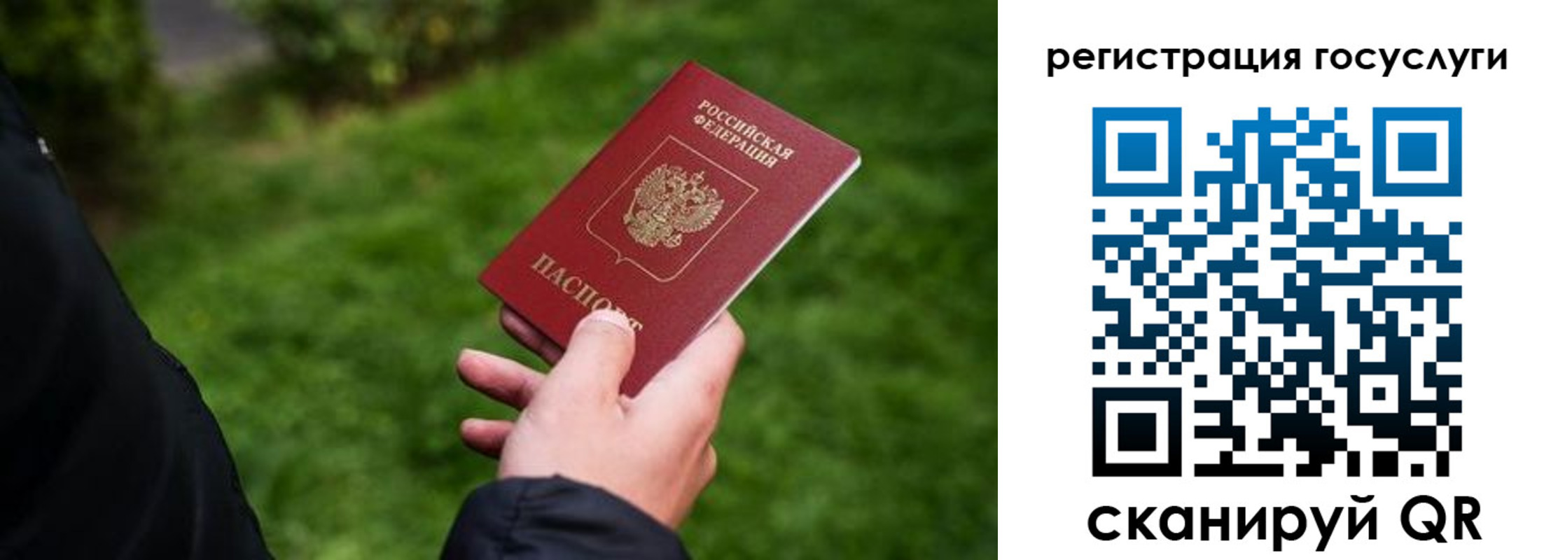 прописка в Чистополье